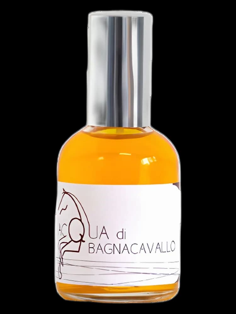 Acqua di Bagnacavallo bottle