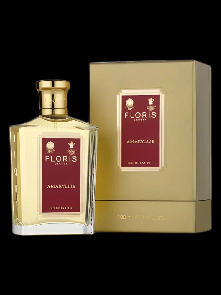 Amaryllis bottle