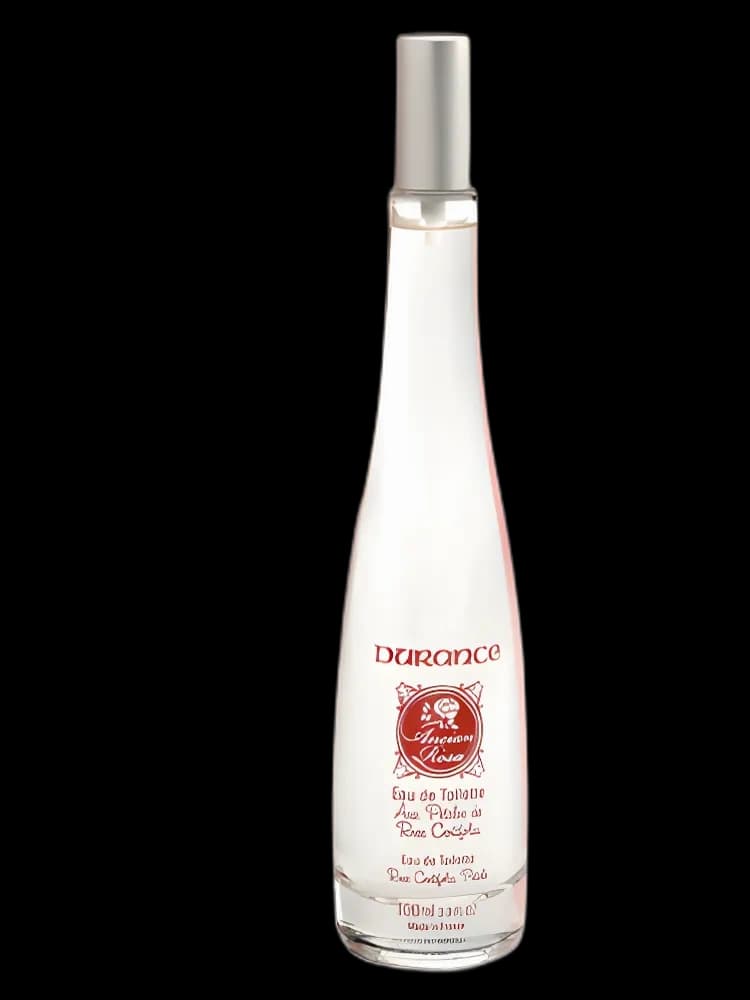 Ancian Rosa bottle