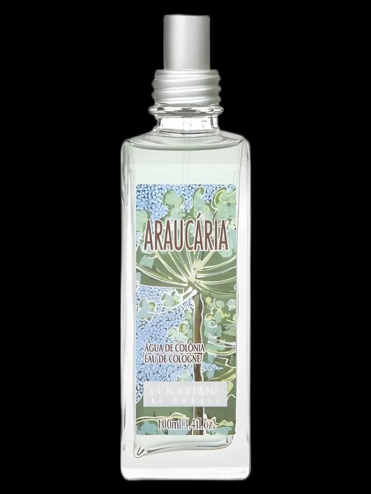 Araucária bottle