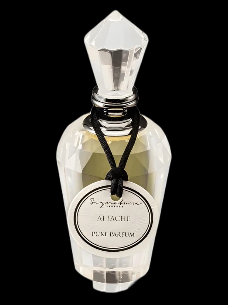 Attache bottle