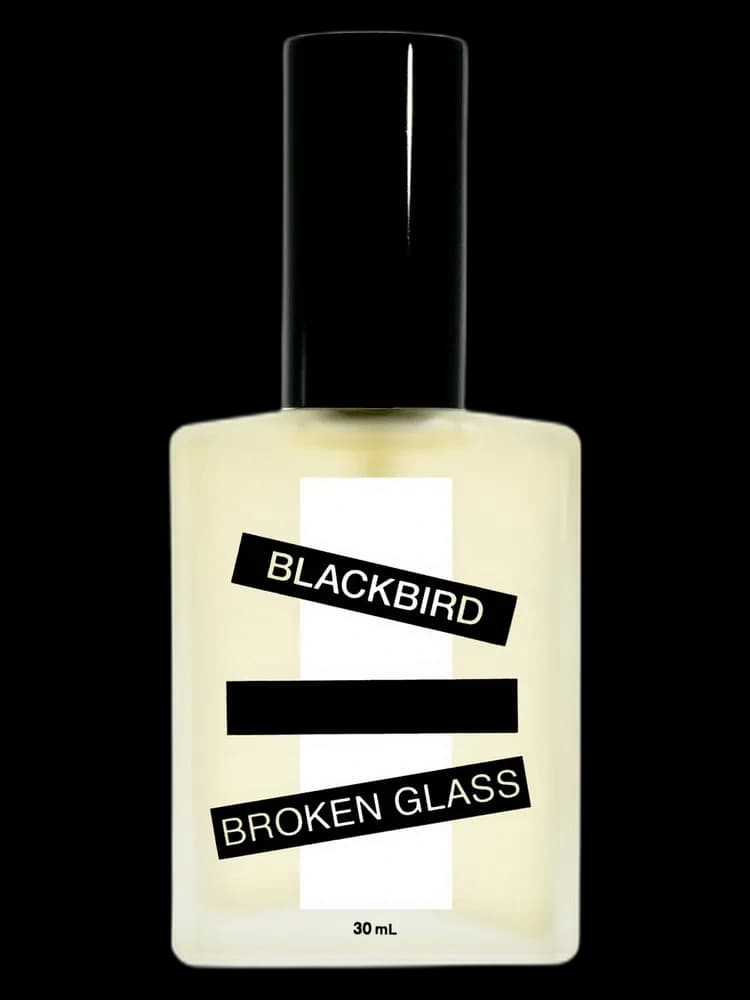 Broken Glass bottle