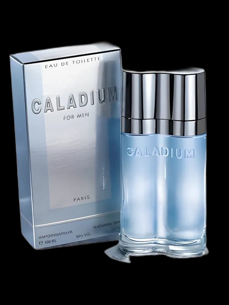 Caladium bottle