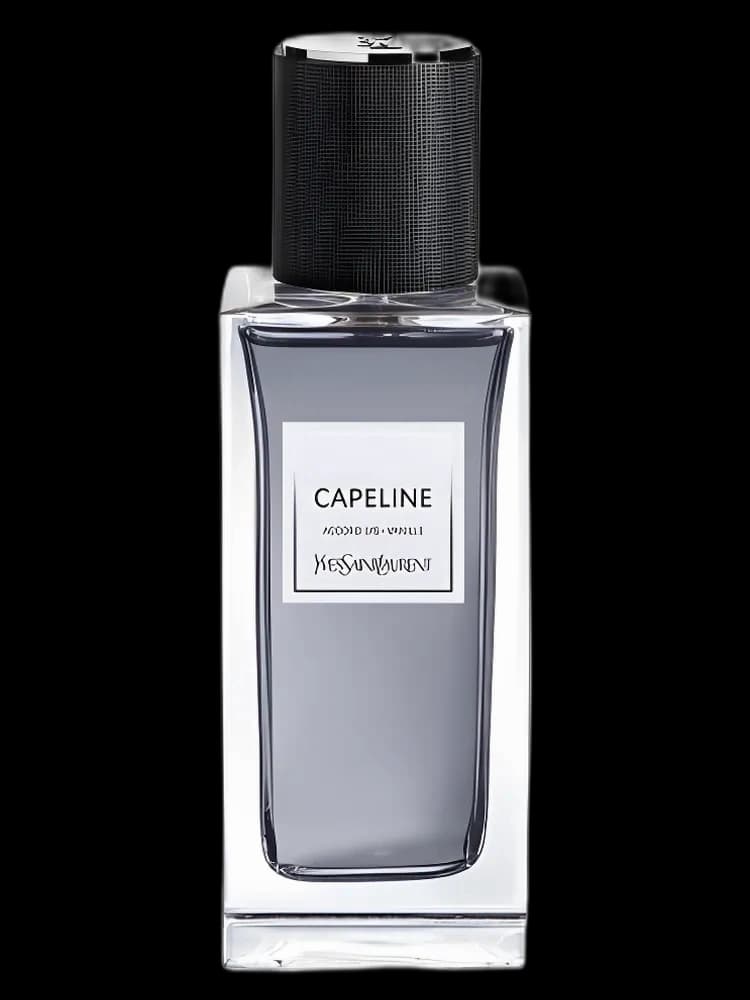 Le Vestiaire - Capeline bottle