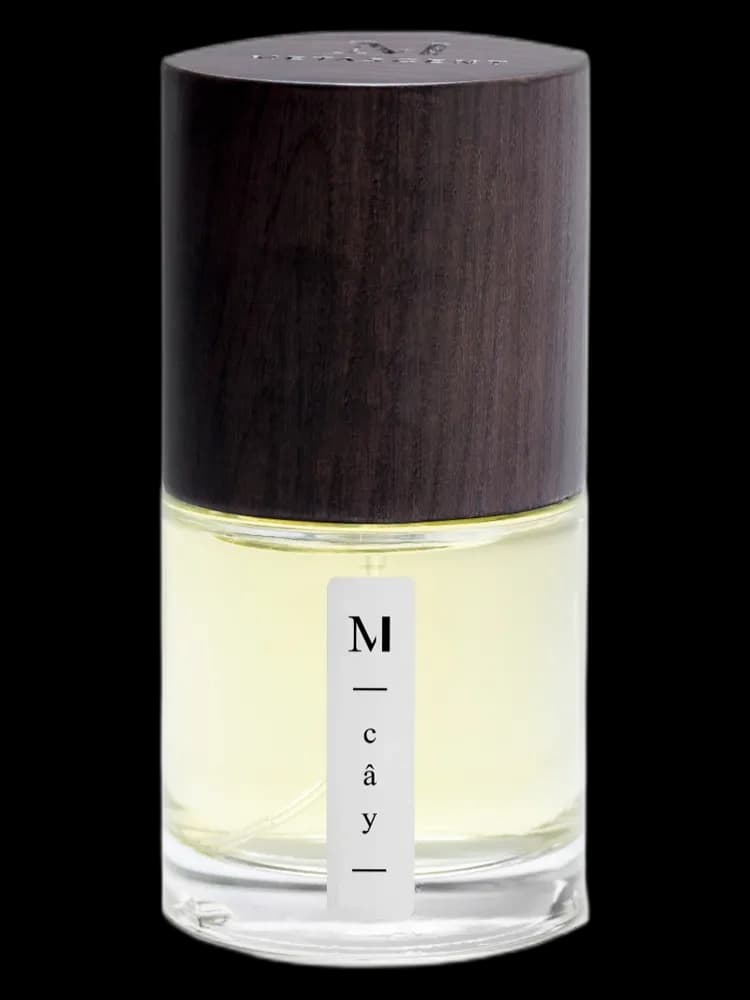 Cây bottle