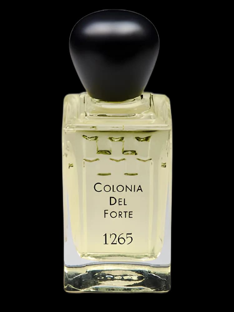 Colonia del Forte 1265 bottle
