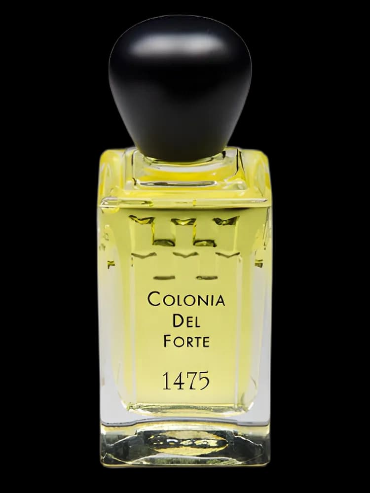 Colonia del Forte 1475 bottle