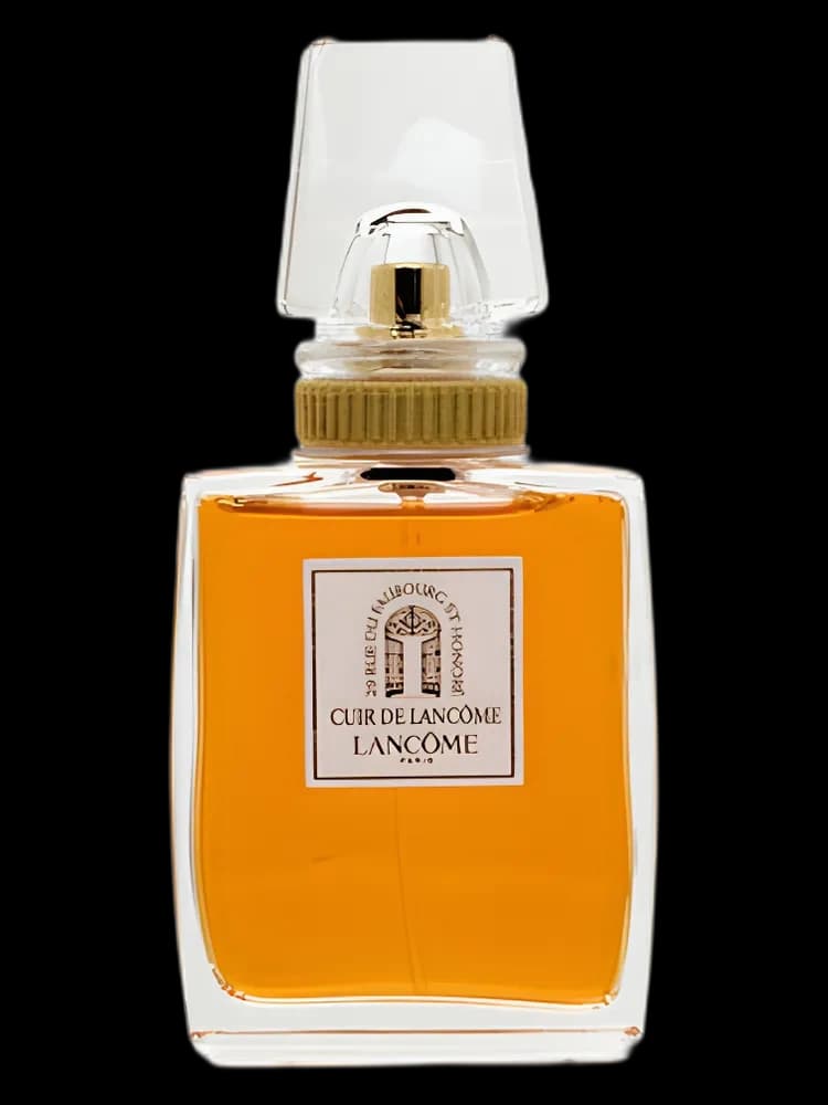 Cuir de bottle