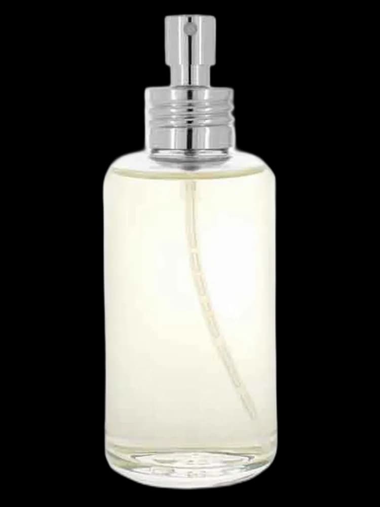 Disobbedienza bottle
