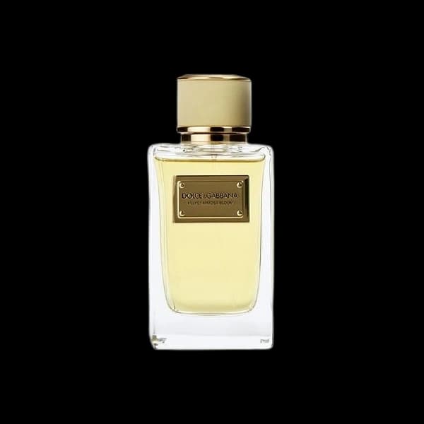 Dolce & Gabbana Velvet Mimosa Bloom bottle