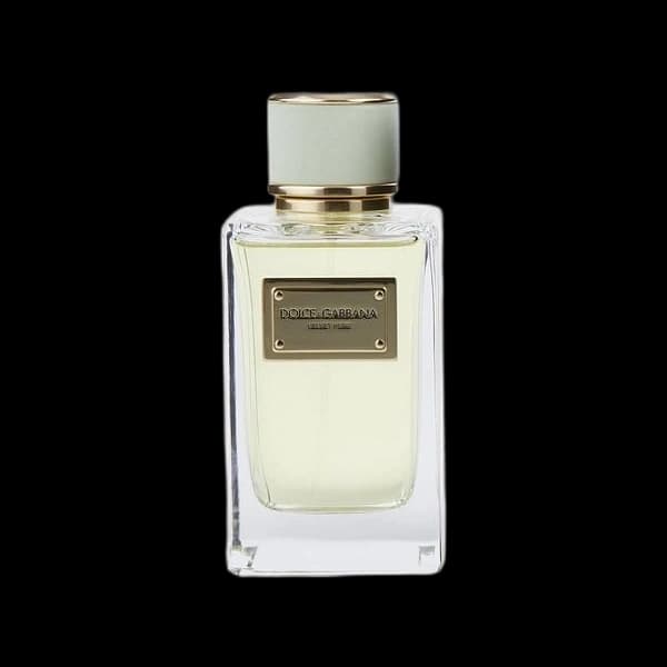 Dolce & Gabbana Velvet Pure bottle