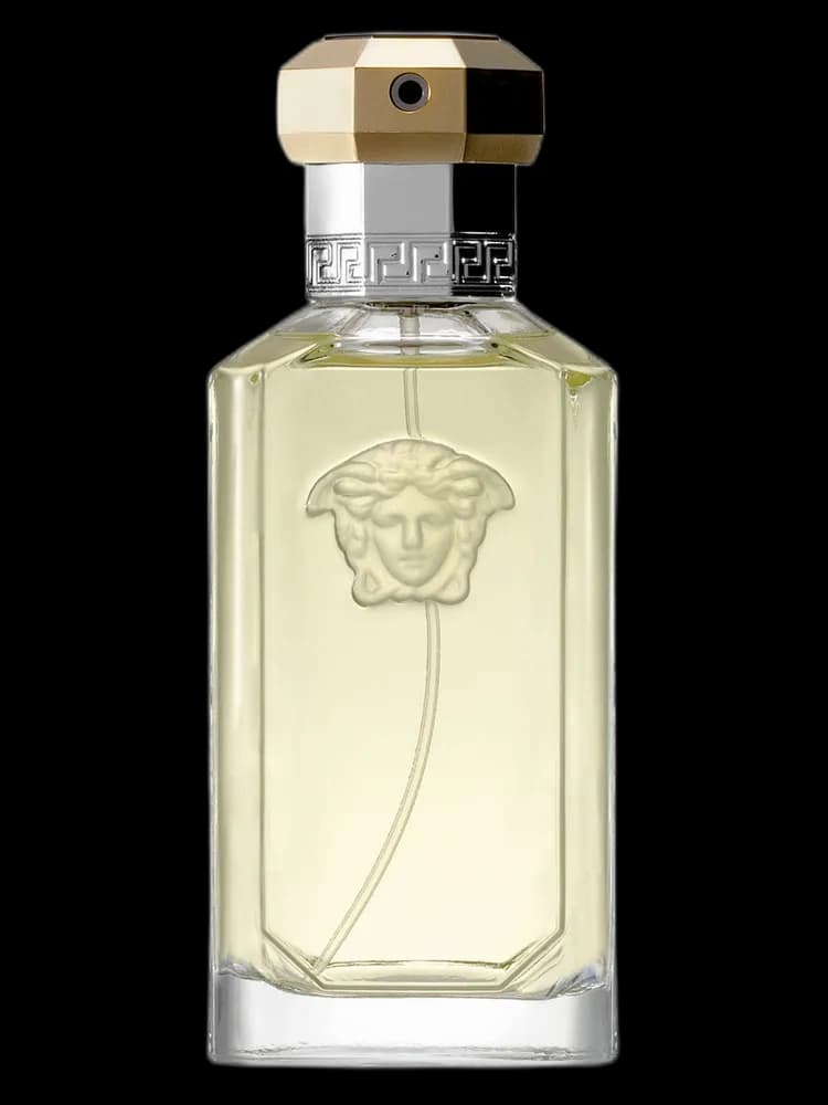 Dreamer The Original Edition for men bottle
