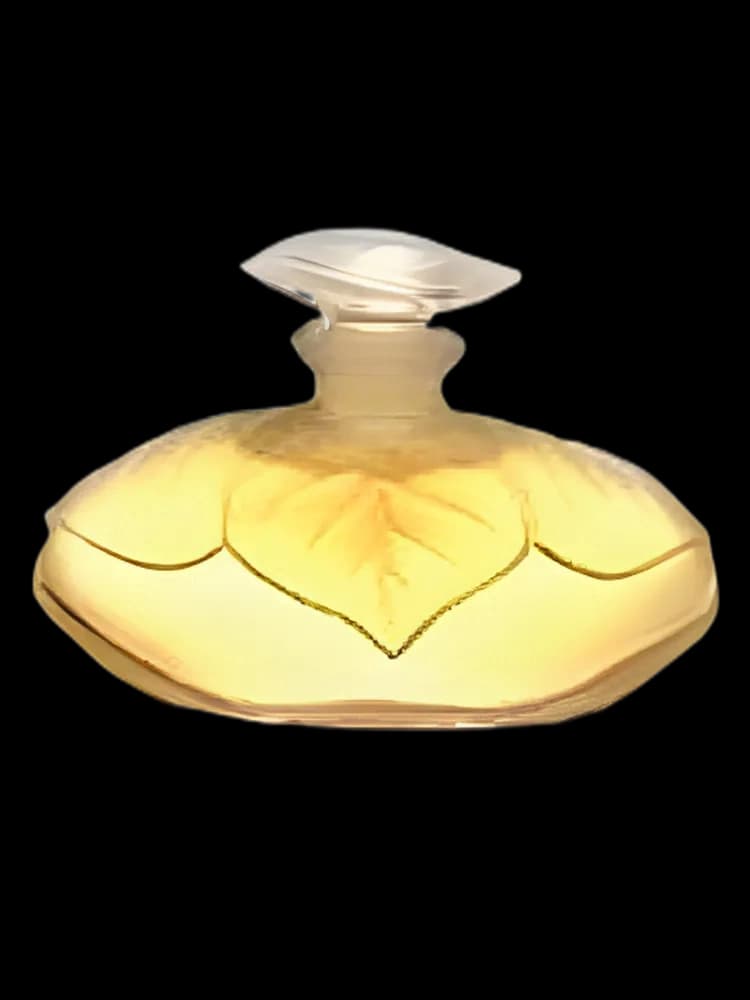 Elle bottle