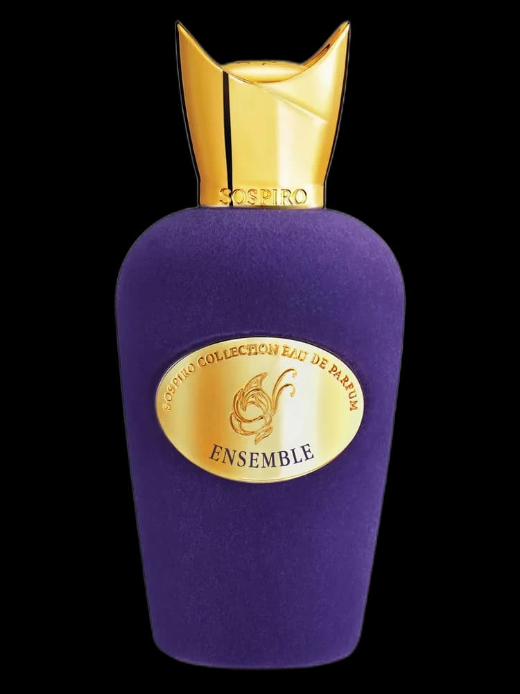 Ensemble bottle