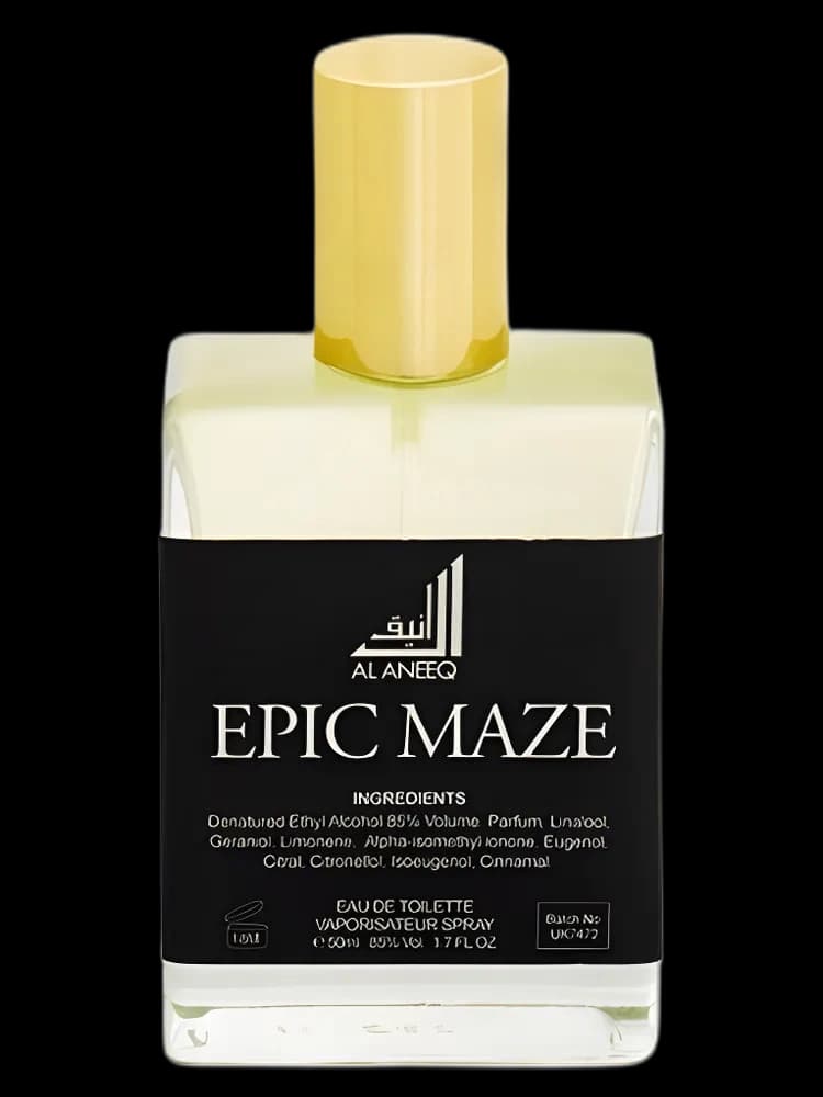 Epic Maze bottle