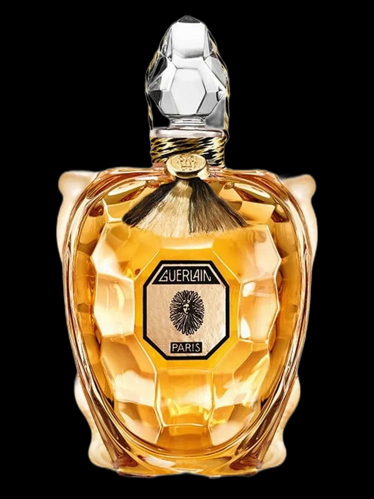 Flacon Tortue bottle