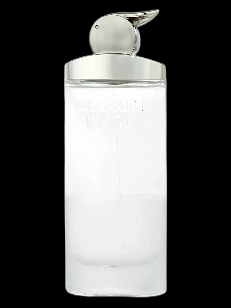 Image pour Femme bottle
