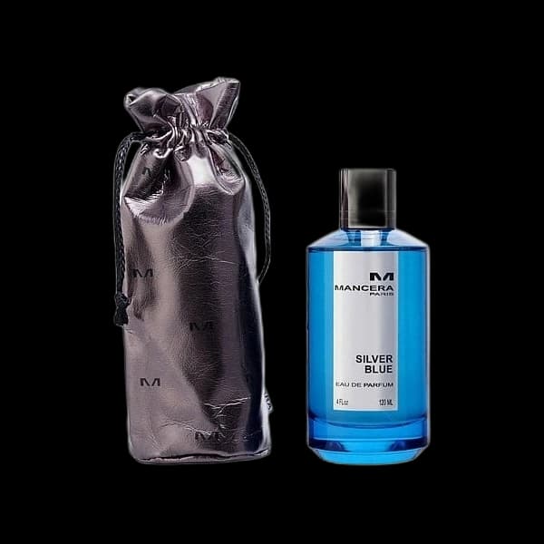 Silver Blue bottle