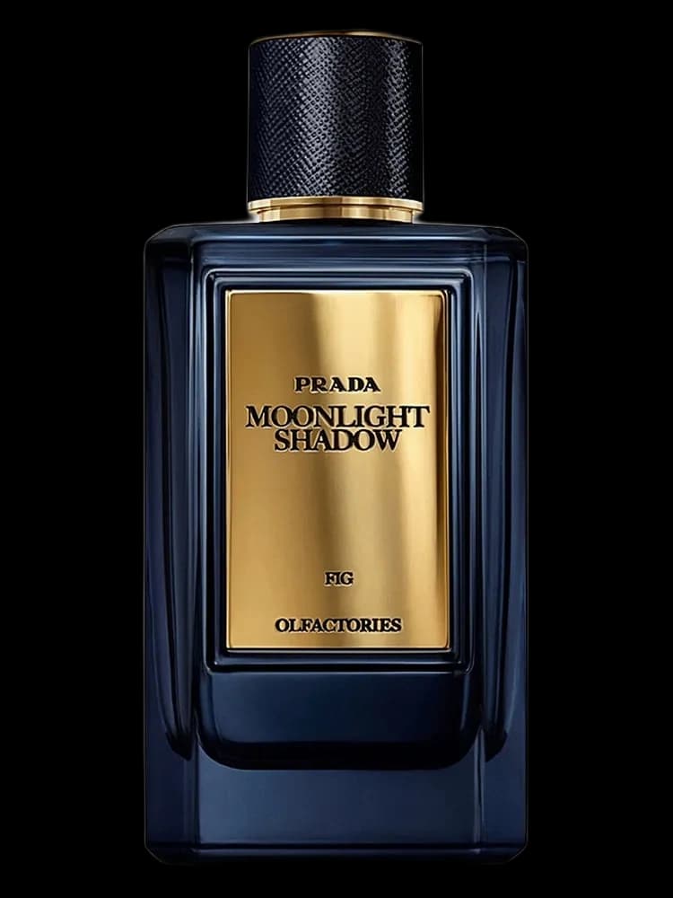 Olfactories - Moonlight Shadow bottle