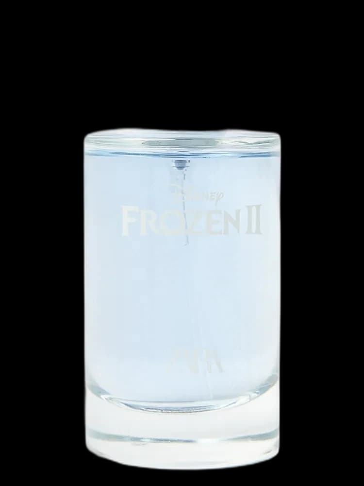 Frozen II Frozen bottle