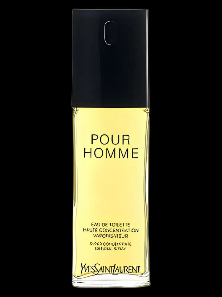 Pour Homme Haute Concentration bottle